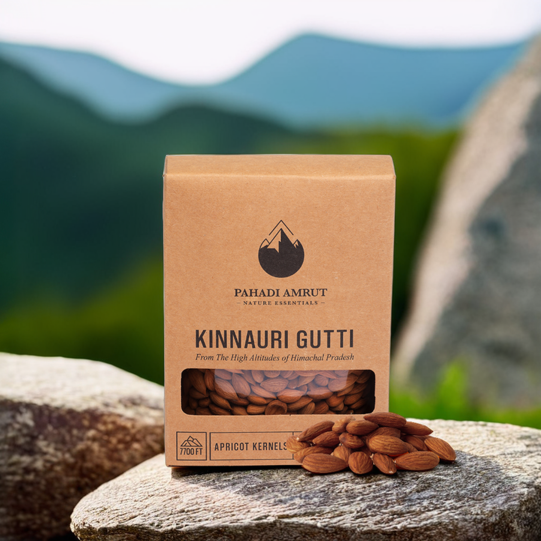 Kinnauri Gutti