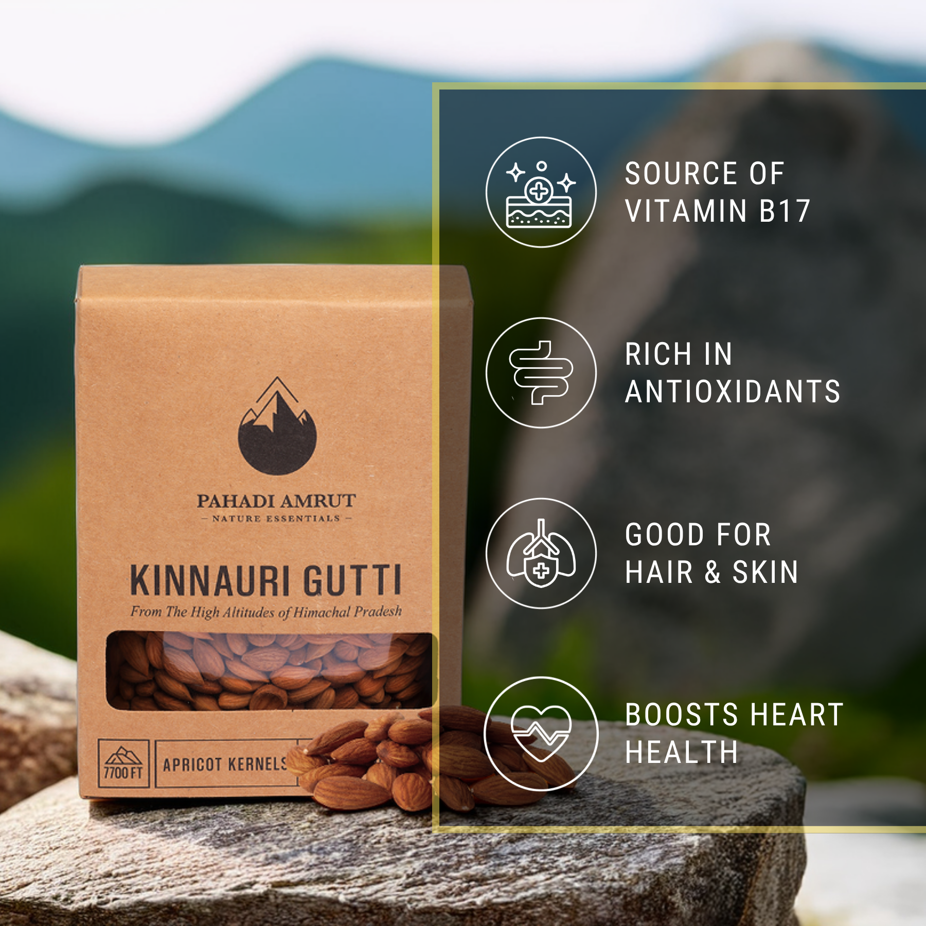 Kinnauri Gutti
