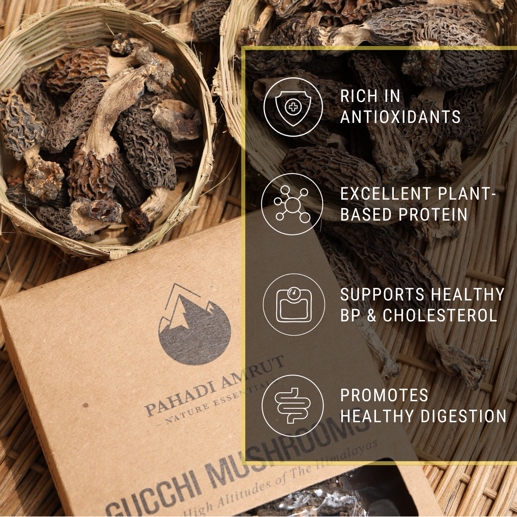 Gucchi Mushrooms (50gm)