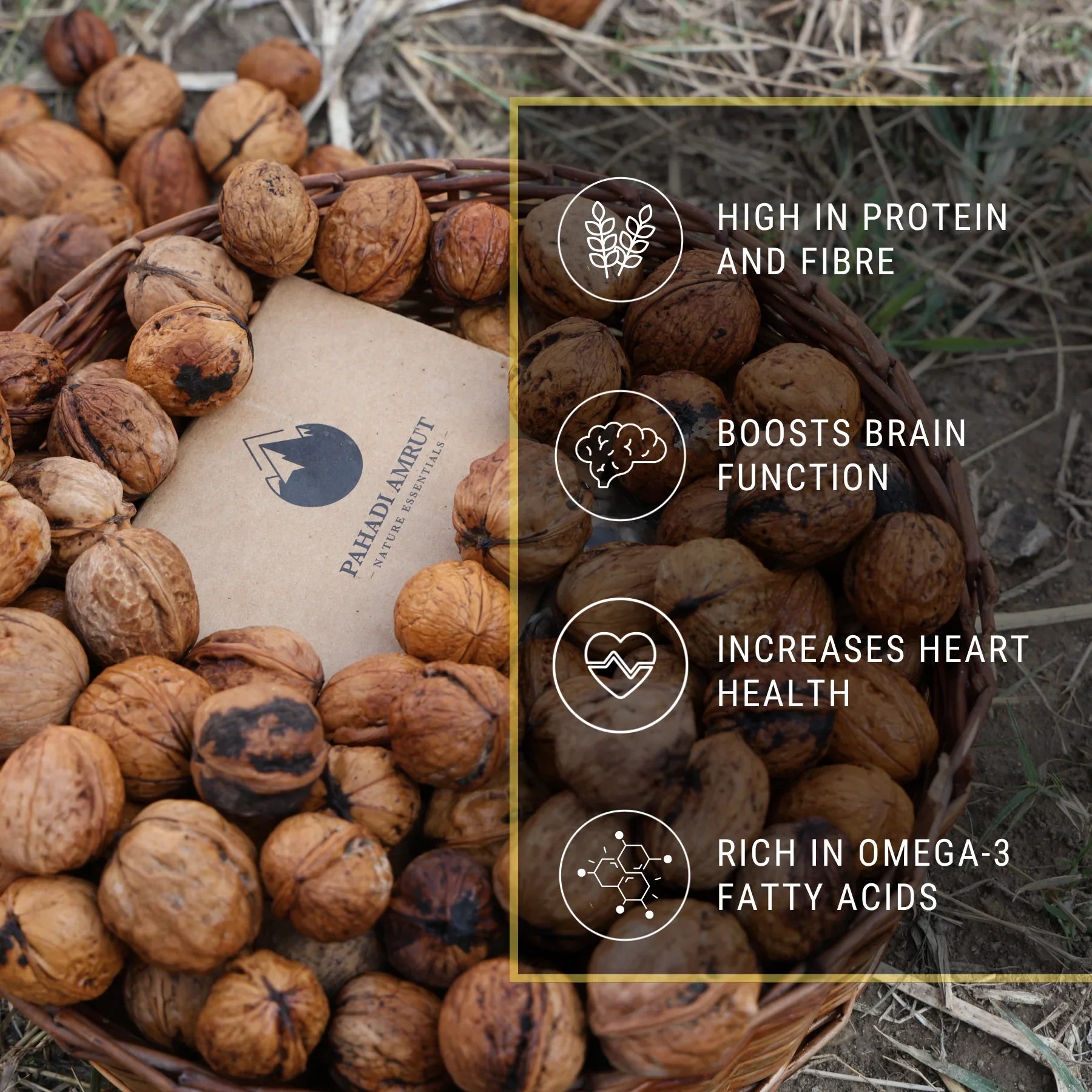 Kashmiri Akhrot Giri