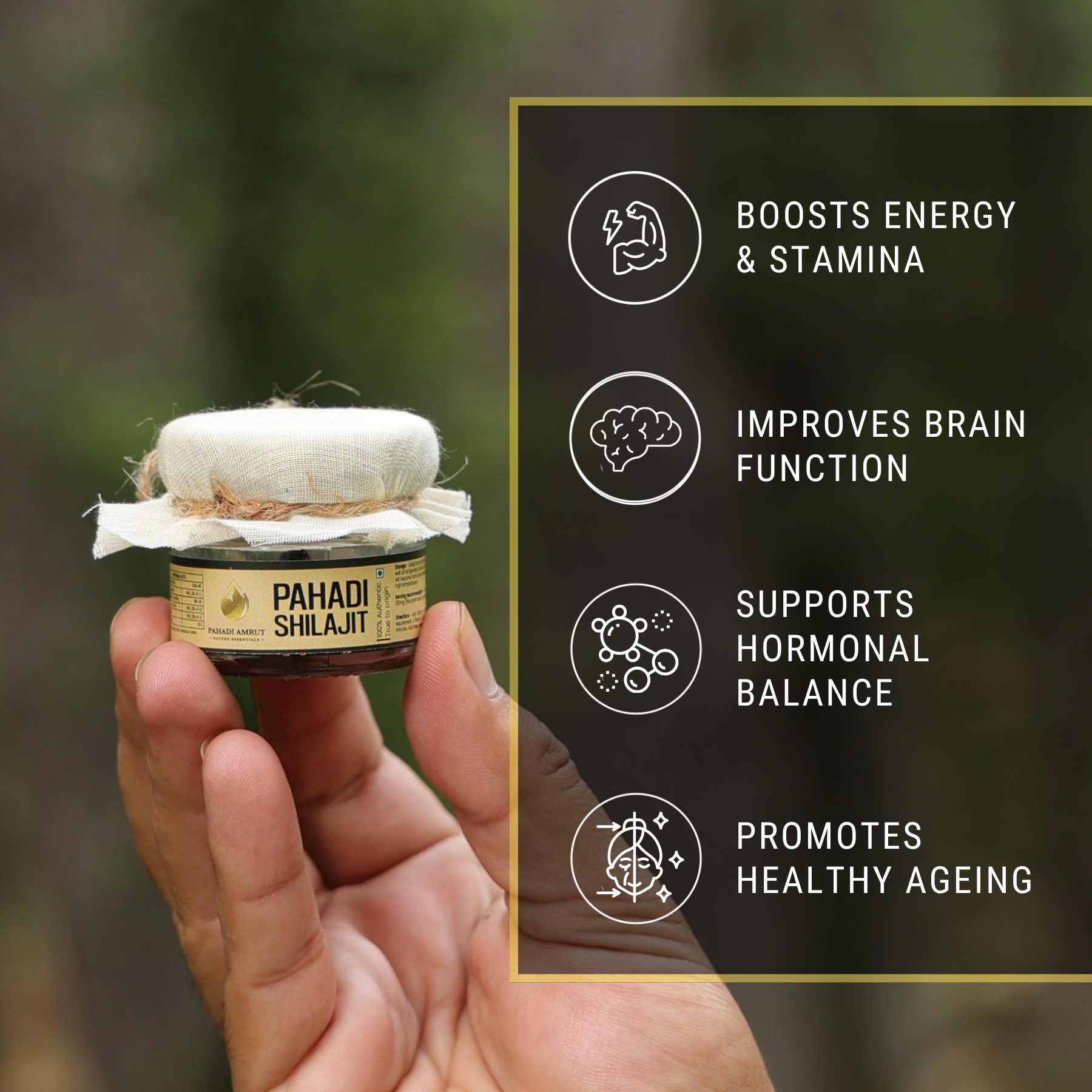 Pahadi Shilajit
