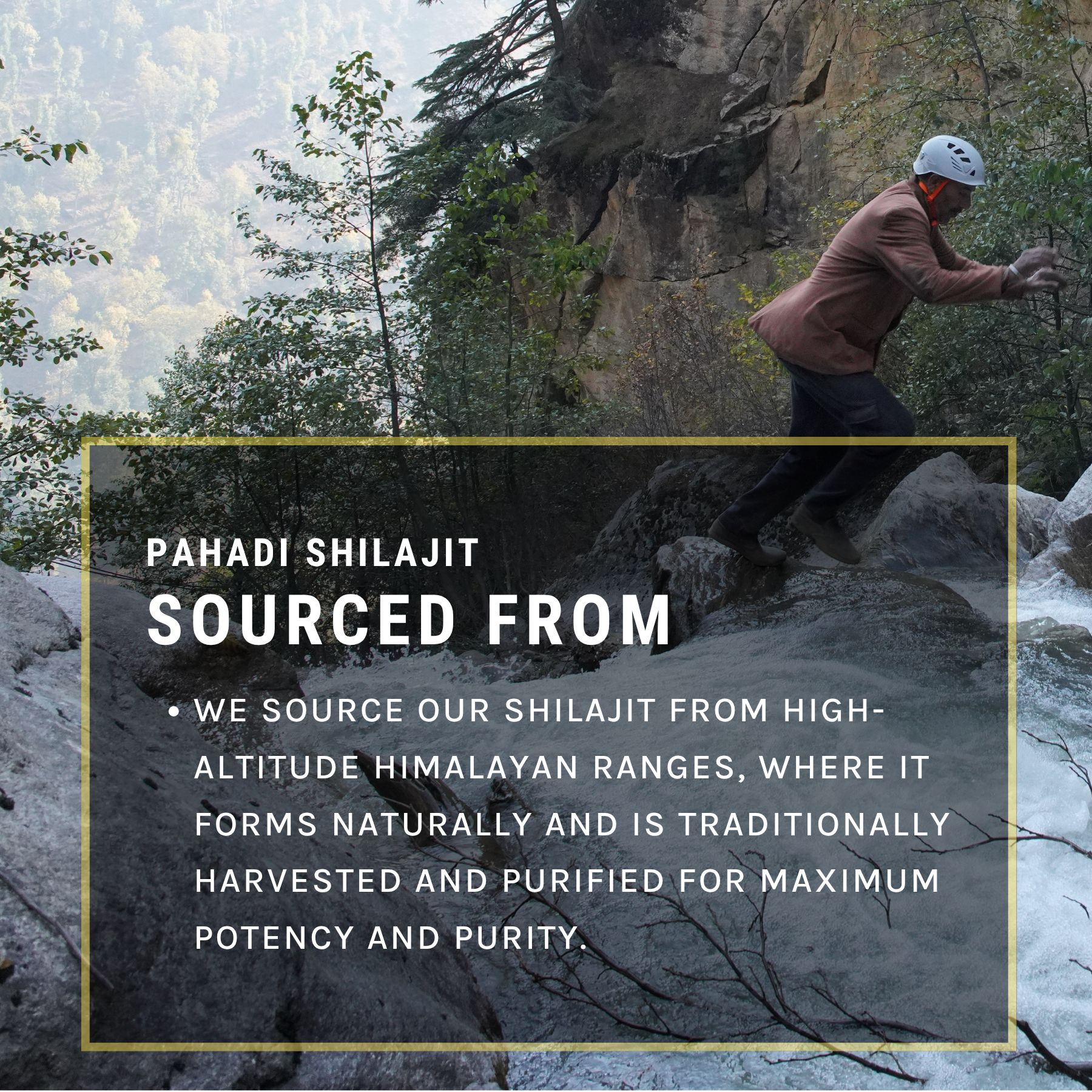 Pahadi Shilajit