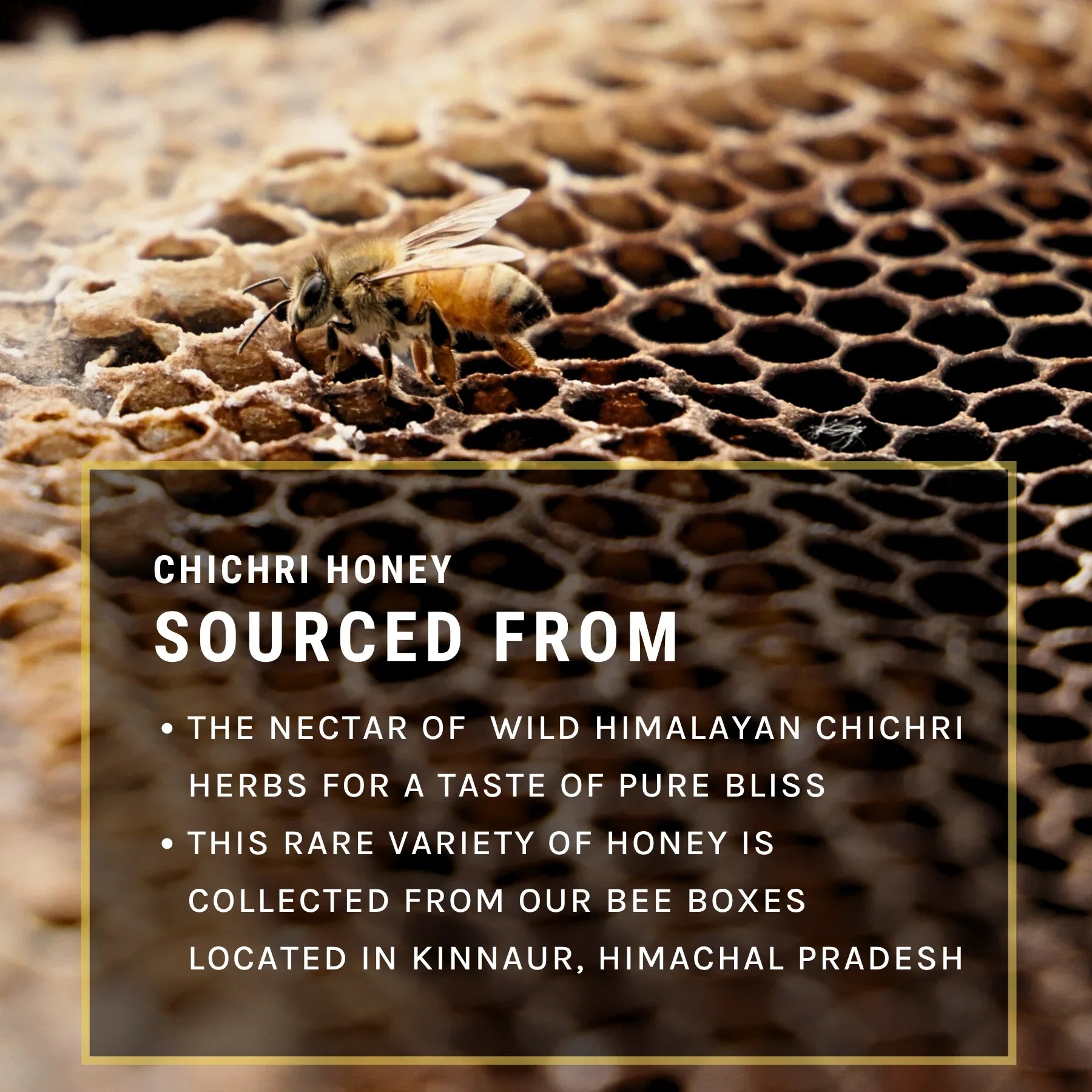 Chichri Honey