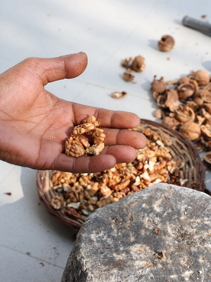 Step 2: Handpicked Harvest