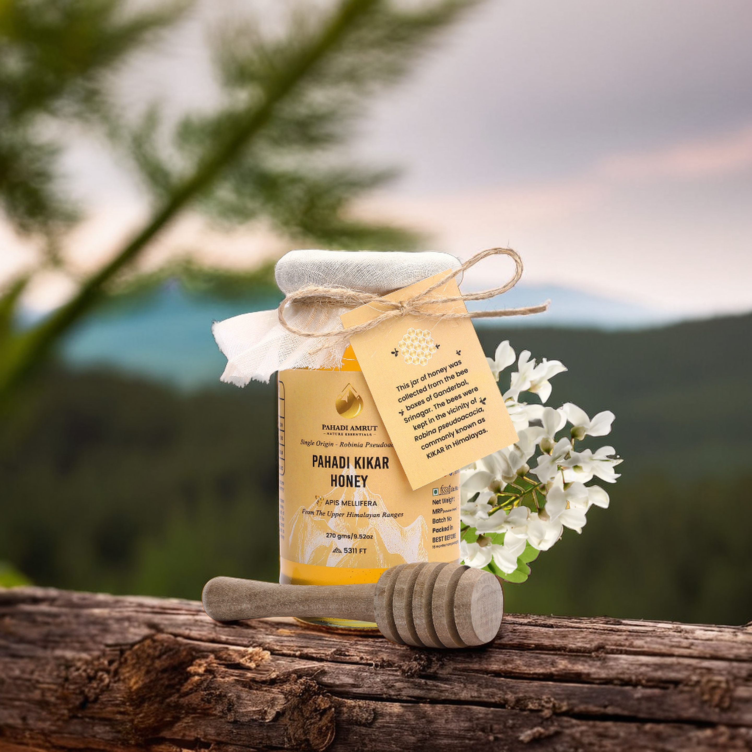 Kikar Honey